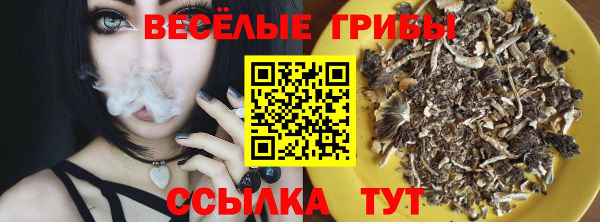 Галлюциногенные грибы GOLDEN TEACHER  что такое   Галлюциногенные грибы GOLDEN TEACHER  Муравленко  Вход с VPN 